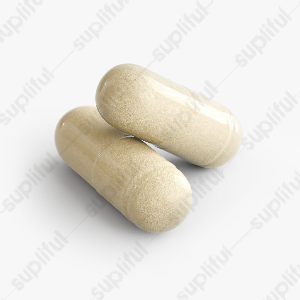 Gut Health